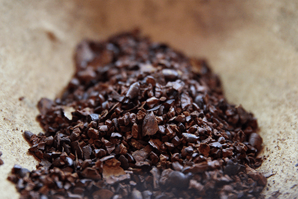 cocoa beans on ground